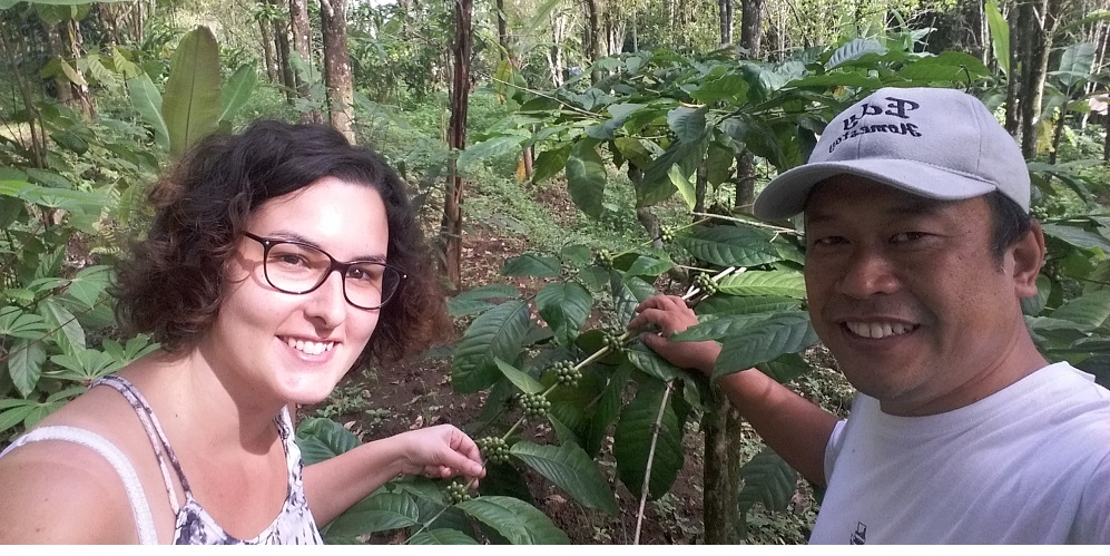 Bali cofee processing