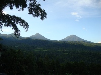 view edy homestay munduk