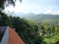 Photo Gallery Edy Homestay munduk bali